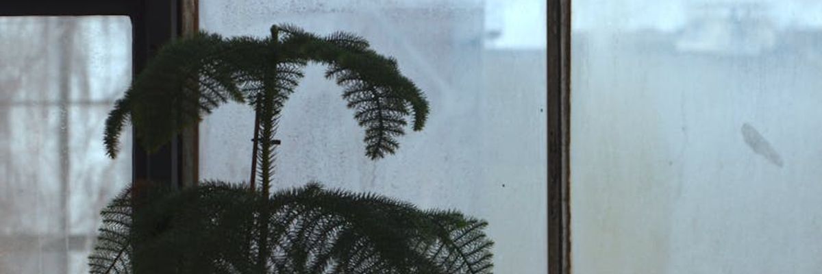 Minimalist atmosphere with soft glowing shapes and zen elements